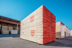37833_Timber_Reiner_0101