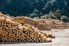 37833_Timber_Reiner_0226