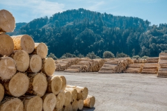 37833_Timber_Reiner_0338