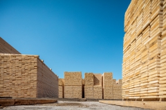 37833_Timber_Reiner_0344
